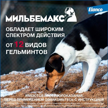 Elanco Мильбемакс таблетки от глистов для взрослых крупных собак (2 таблетки) Дополнительное Превью